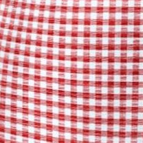 vivid red gingham