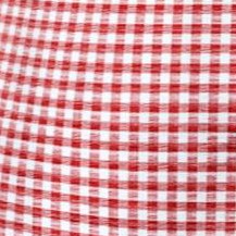 vivid red gingham