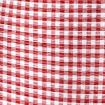 vivid red gingham