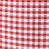 vivid red gingham