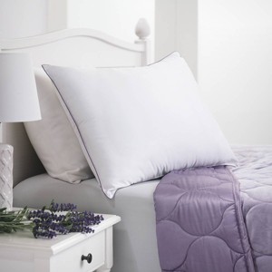Standard Lavender Infused Microfiber Bed Pillow - Dream Infusion, White