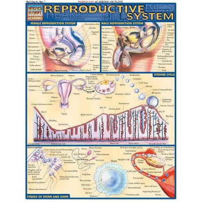 Reproductive System - (Quickstudy: Academic) by  Vincent Perez (Poster)