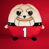 Sleep Squad Georgia Bulldogs Hairy Dawg 12" Mascot Kiri Cloud Plushie - 4 of 4