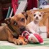 BARK Holiday Santa's Workchomp Santa's Swag Bags Dog Plush Toy - 4 of 4