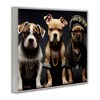 Stupell Industries Gangster Dogs Trio Puppies Framed Giclee Art - 2 of 4