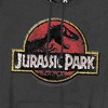Jurassic Park Stone Logo Pullover Hoodie - 2 of 4