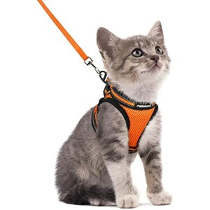 rabbitgoo Cat Harness and Leash Set for Walking Escape Proof, Adjustable Soft Kittens Vest with  Outdoor Vest,Light Orange,S - 1 of 1