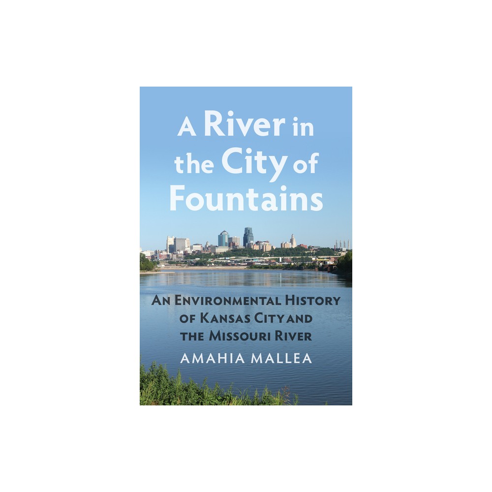 A River in the City of Fountains - by Amahia Mallea (Paperback)