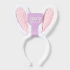 Bunny Ears Easter Headband White Pink Gingham - Spritz™ - 4 of 4
