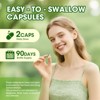 Mulittea Organic Moringa Capsules 1000mg – 7-in-1 Superfood for Immune, Gut & Skin Health – Non-GMO, 60 Ct - 2 of 4