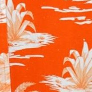 orange tropical