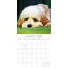 2026 Square Wall Calendar, Celestial, 16-Month Arts & Antiques Theme with 180 Reminder Stickers (12x12 In) - 3 of 4