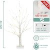 White Birch Tree Indoor Christmas Decor, 4 Pack Battery Operated/USB Lighted Tabletop Money Tree Lamp Led Lights - 2 of 4