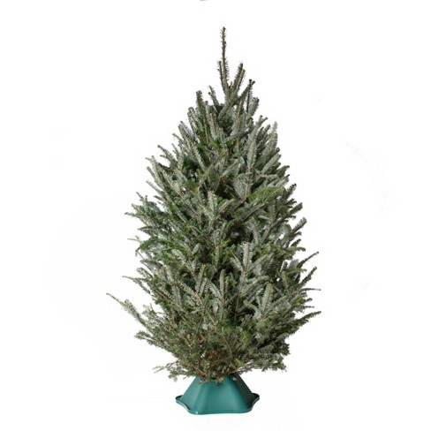 amazon small white christmas tree