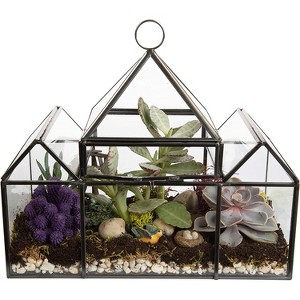D'Eco Glass Castle Plant Terrarium (10x4.5x9) - Indoor Tabletop & Hanging Black Geometric Planter - Home Garden Office Decor - Gift for Plant Lovers - 1 of 3