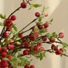 Attop [3pcs Mini Apple Branches] 3pcs Vibrant Red and Green Artificial Mini Apple Branches | Faux Fruit Stems for Decor - 2 of 4