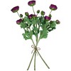 Northlight Real Touch™ Light Plum Purple Ranunculus Artificial Floral Sprays, Set of 6 - 21" - 4 of 4