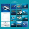 2026 Square Wall Calendar, Sharks, 16-Month Animals Theme with 180 Reminder Stickers (12x12 In) - 4 of 4