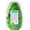 organicgirl Baby Spinach - 16oz - image 3 of 3