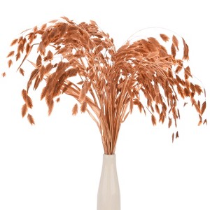 Unique Bargains Dried Grass Chasmanthium Oat Home Decor Flower Bouquet 1 Pc - 1 of 4