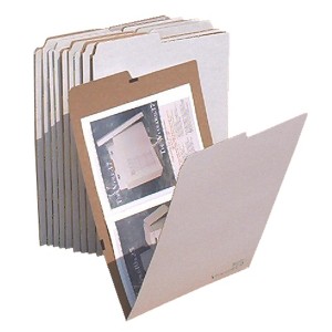 Advanced Organizing Systems VFolder19 - 10/PK Stores Flat Items Up to 12”x18” - 1 of 1
