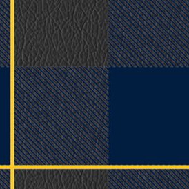 california golden bears
