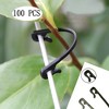 100 fasteners for fastening screws with buckle, for plants and vegetables, for agricultural grafting - 2 of 4