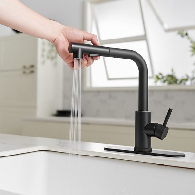 Matte Black Stainless Steel Pull-Out Spray Kitchen Faucet