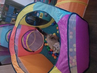 Chuckle & Roar Mega Fort and Ball Pit