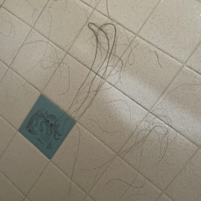 Guest review image 1 of 2, zoom in
