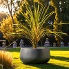 Rosemead Home & Garden, Inc. Weathered Concrete Outdoor Planter Pot Black - 3 of 4