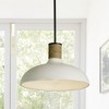 Capital Lighting Destin 1 - Light Pendant in  Dark Pewter - 3 of 4