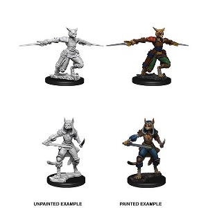 Dungeons & Dragons Nolzur's Marvelous Miniatures - Tabaxi Female Rogue - 1 of 1