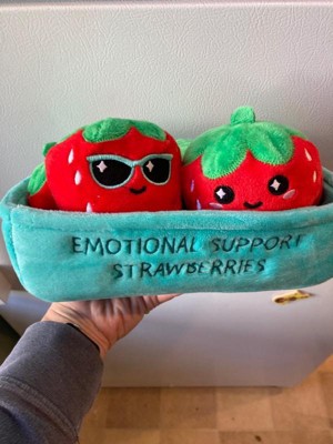 Strawberry Plush Toys by Emotional Support Plushies Medium