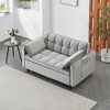 Racxily Modern Velvet Sofa, Sofa Bed, Small Loveseat Sofa with Back, with Pillow, Pockets, Living Room Furniture, 3 in 1 Convertible Sleep Sofa Bed - 2 of 4