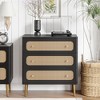 JIONJOY Black Weave 3-Drawer Dresser - Fully Assembled Rattan & Wood Storage Cabinet with Antique Brass Hardware - 3 of 4