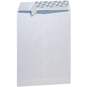 MyOfficeInnovations Tear-Resistant Privacy Tint Catalog Envelopes 9 x 12 White 100/BX 329845 - 1 of 4