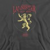 Game Of Thrones House Lannister Sigil Adult Pull-Over Hoodie - 2 of 4