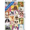 Trends International Keith Kimberlin - Puppies Grid Unframed Wall Poster Prints - 3 of 4