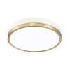 Algar 16" LED Flush Mount Ceiling Light - Dimmable, Damp Rated, Retro Design - 3 of 4
