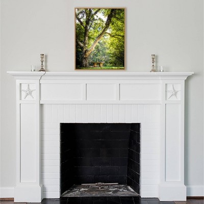 Lush Green Tree and Bench Canvas Wall Art with Polystyrene Frame