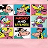 Girls' - Disney - Mickey And Friends Grid Shirt Tail Raglan Graphic T-shirt - 2 of 3