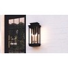 Noelle 2-Light Outdoor Wall Lantern - 3 of 4