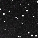 oakland as 1971-1981