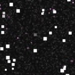 oakland as 1971-1981