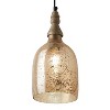 7" Regan Champagne Glass Pendant Light - River of Goods - 2 of 4