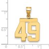 Black Bow Jewelry 14k Yellow Gold, Athletic Collection Medium Polished Number 49 Pendant - 2 of 3