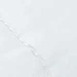 cotton: white