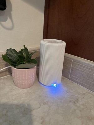 Guest review image 1 of 1, zoom in