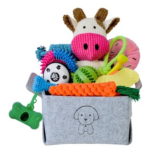 Itopfox 20Pcs Puppy Chew Toys for Teething, Dog Toys with Rope, Toothbrush, Treat Balls, Plush & Squeaky Toys for Small Medium Dogs - 1 of 4
